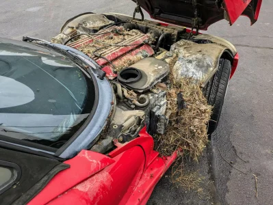 Este Dodge Viper se ha tirado 28 años encima de un concesionario. Ahora será restaurado... para volver al mismo sitio